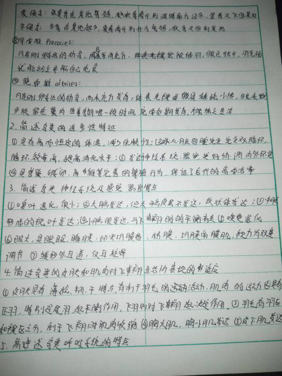 DB中国旗舰官方网站