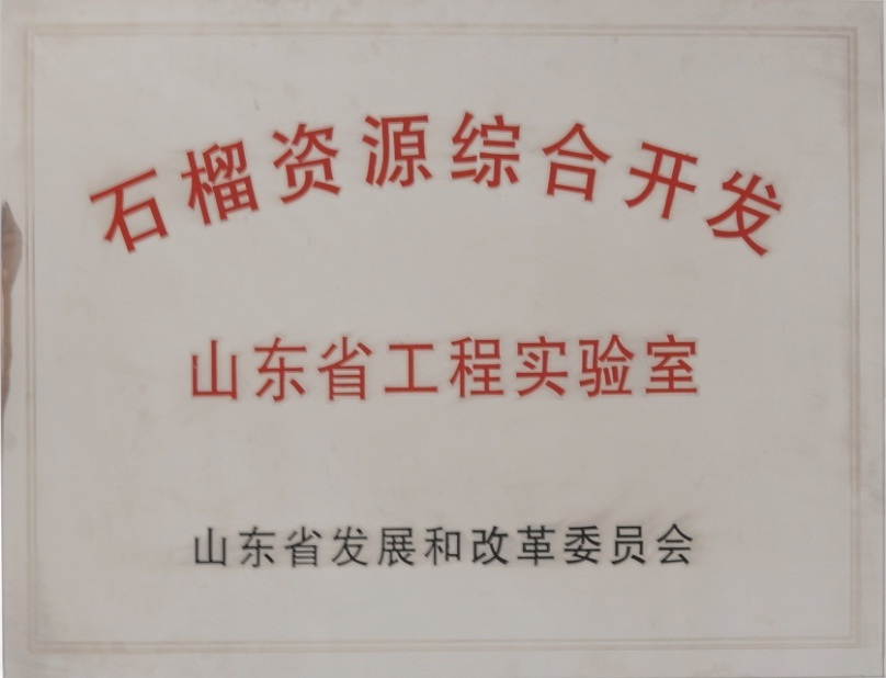 DB中国旗舰官方网站