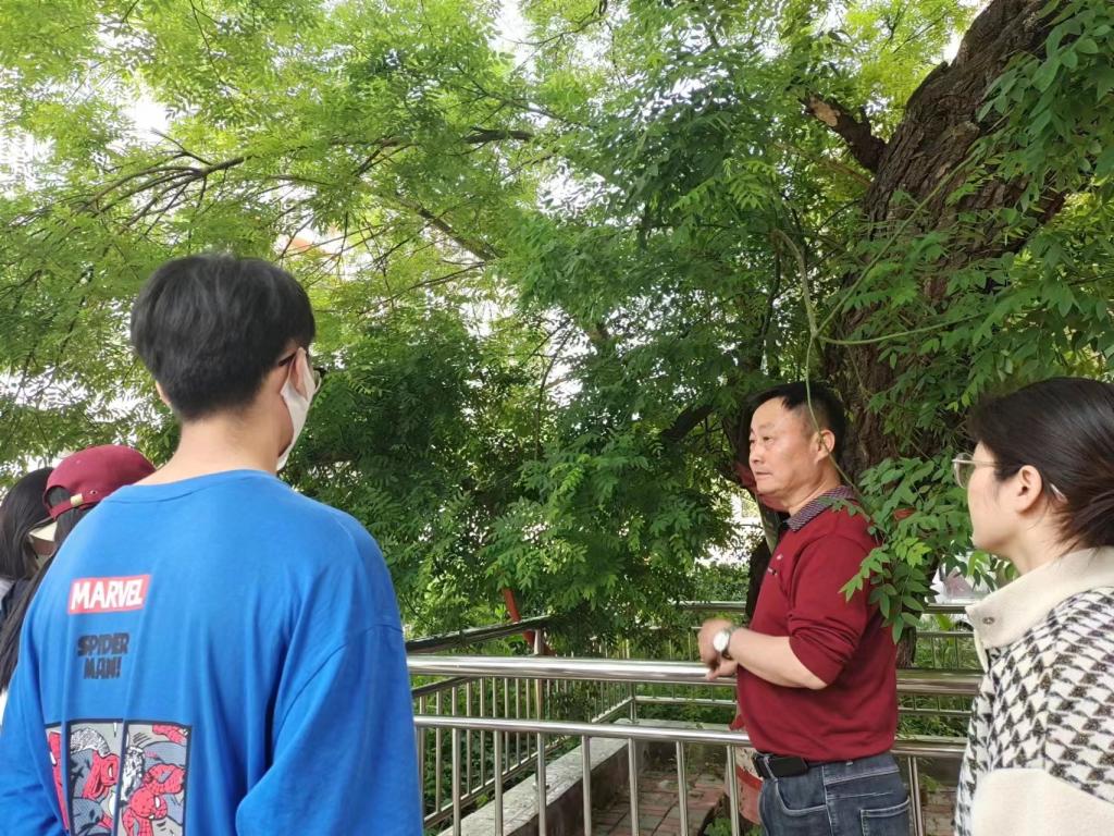 DB中国旗舰官方网站