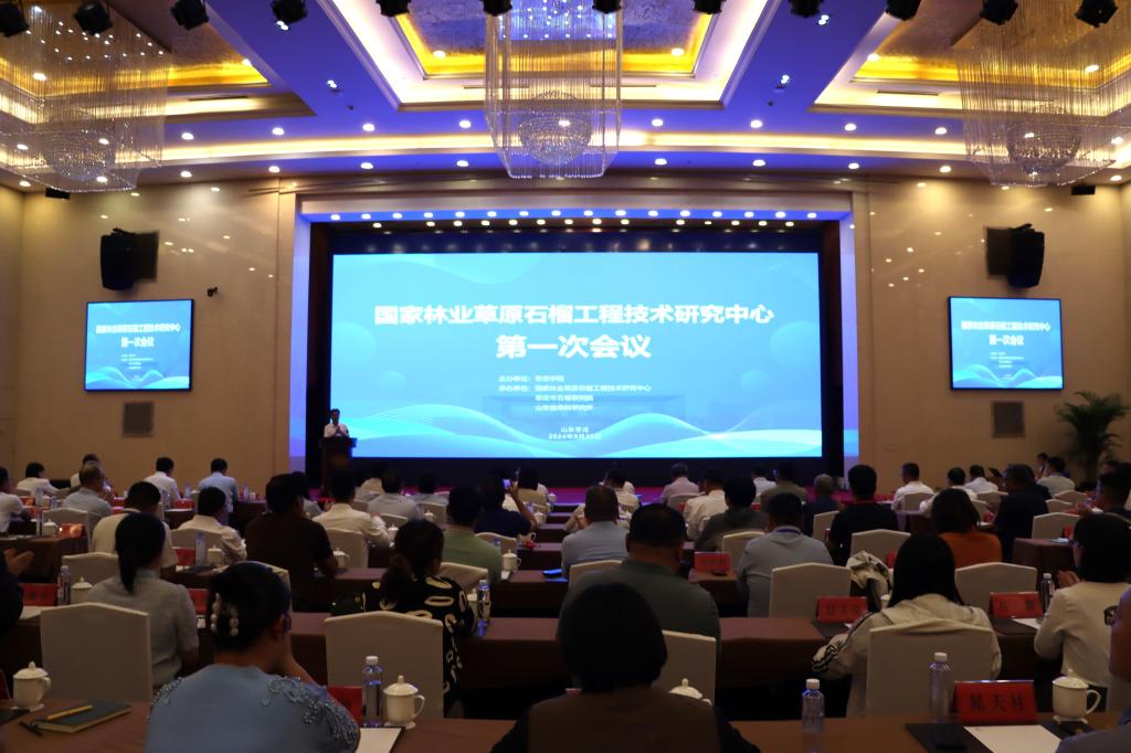 DB中国旗舰官方网站