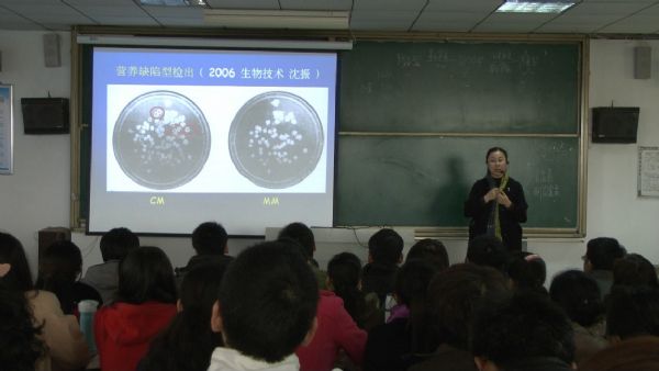 DB中国旗舰官方网站