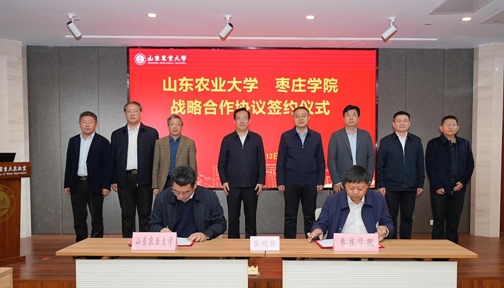 DB中国旗舰官方网站