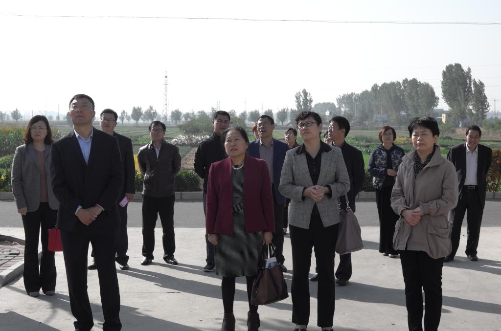 DB中国旗舰官方网站