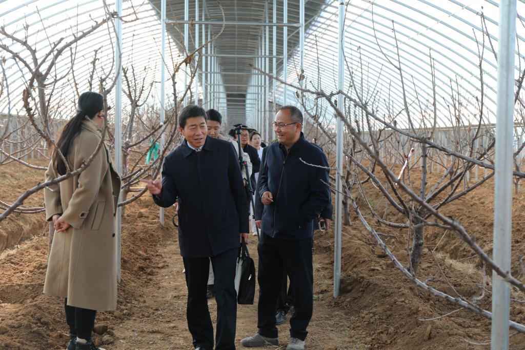 DB中国旗舰官方网站