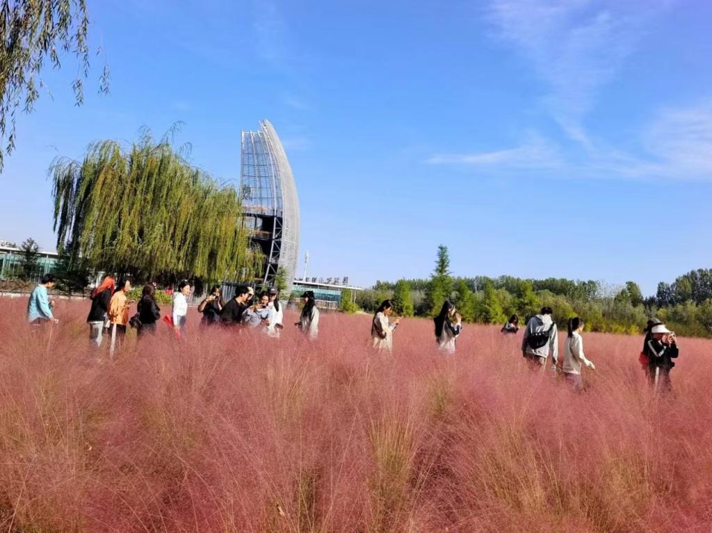 DB中国旗舰官方网站