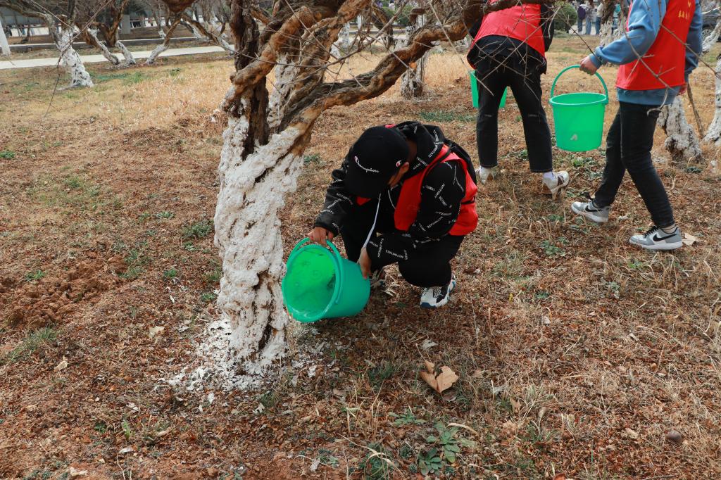 DB中国旗舰官方网站