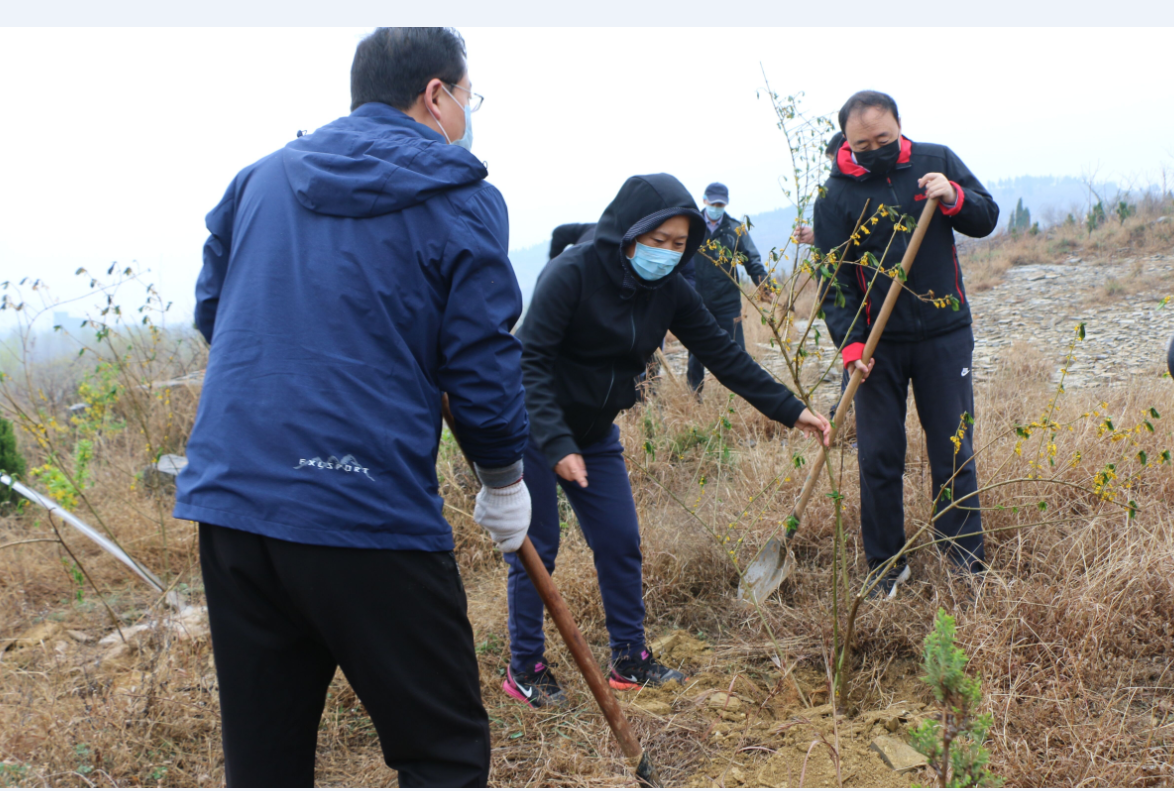 DB中国旗舰官方网站
