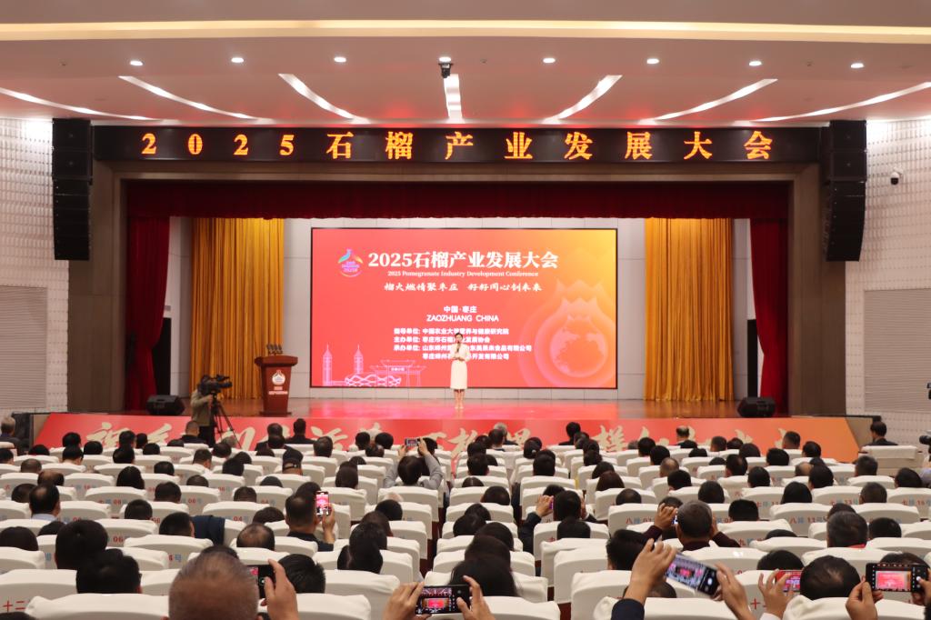 DB中国旗舰官方网站