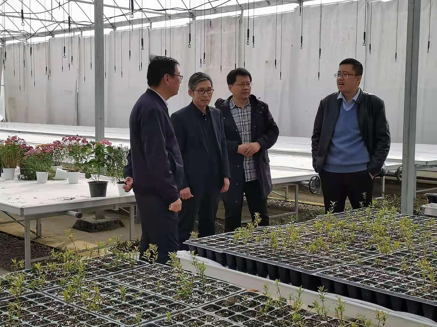 DB中国旗舰官方网站