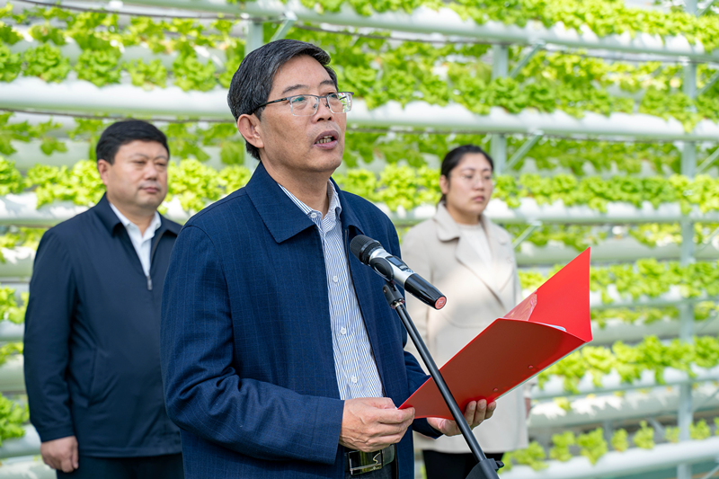 DB中国旗舰官方网站