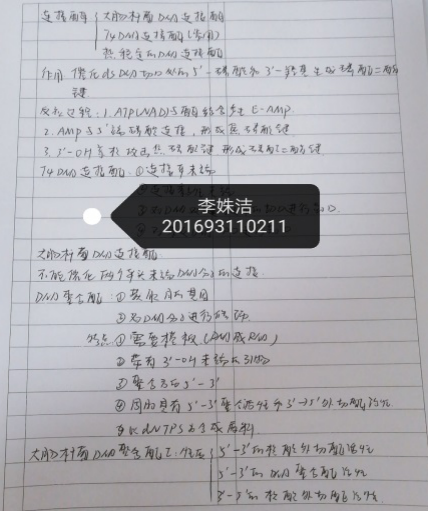 DB中国旗舰官方网站