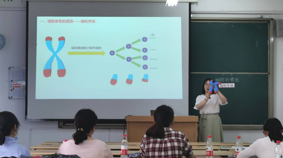 DB中国旗舰官方网站