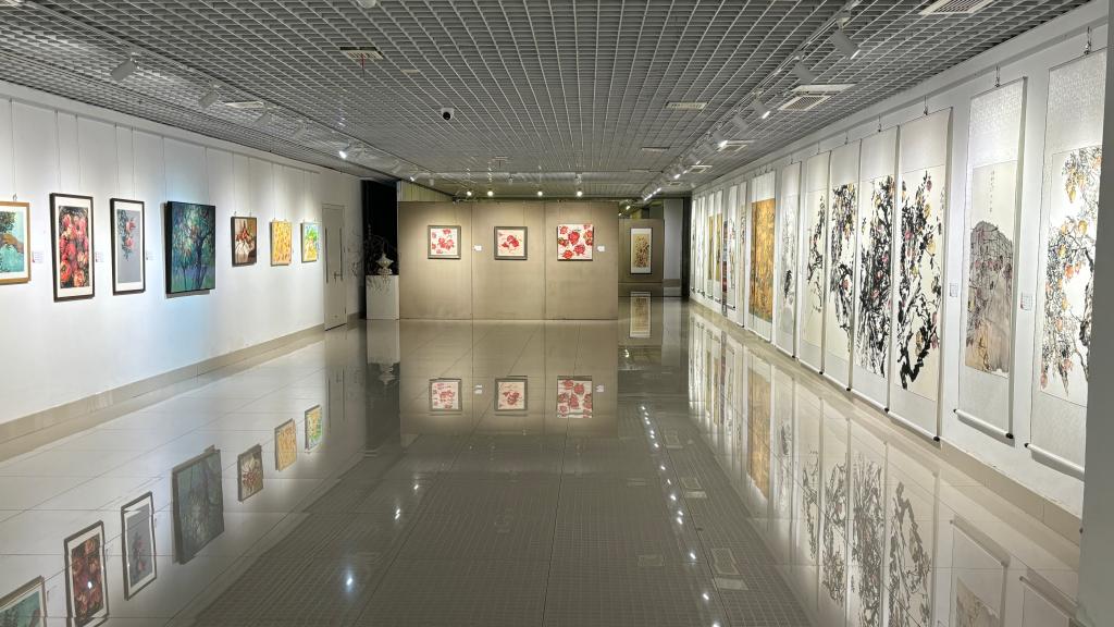 DB中国旗舰官方网站