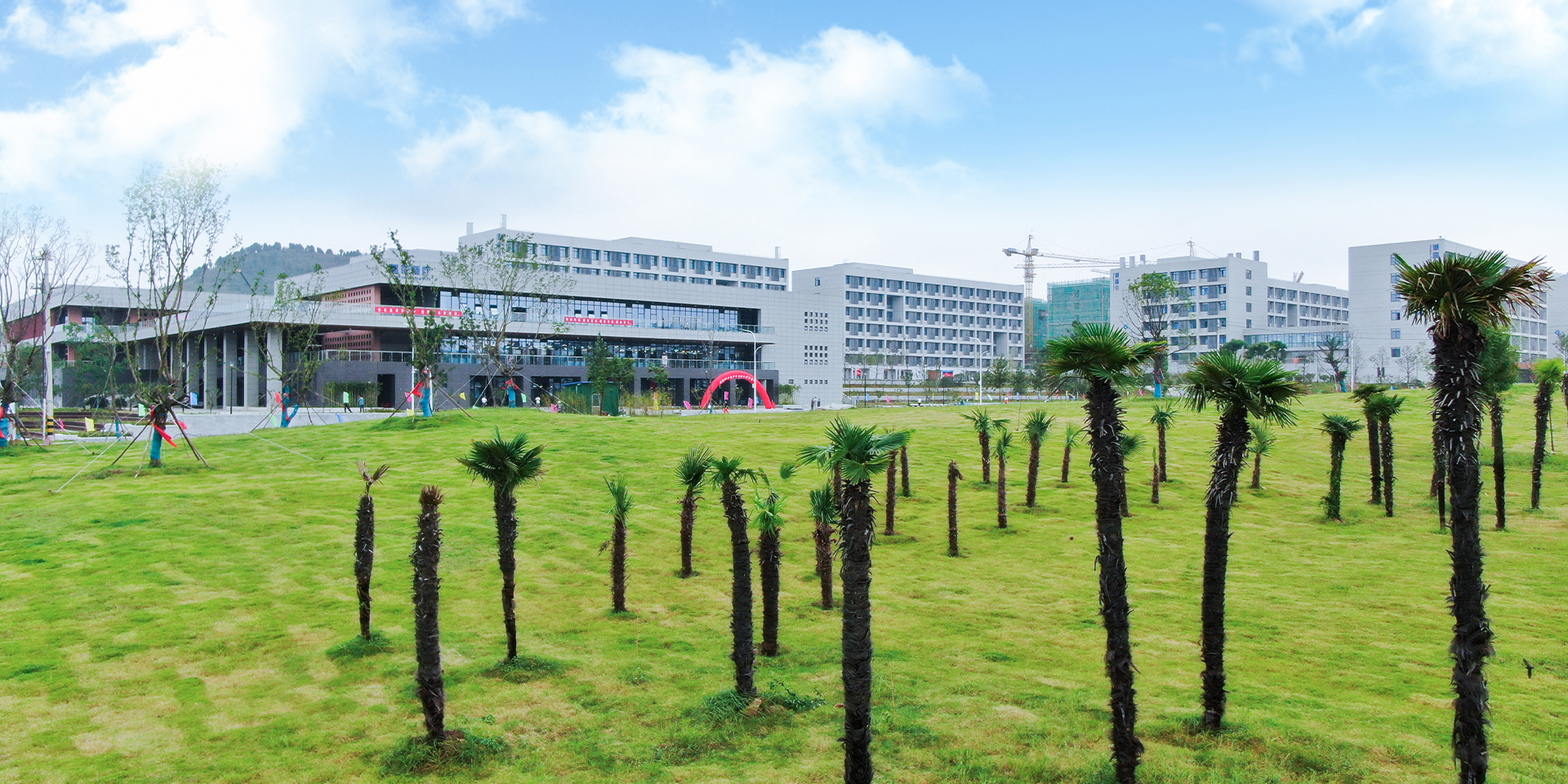 DB中国旗舰官方网站